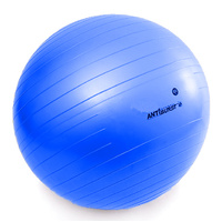 Fitness-Gym Balls