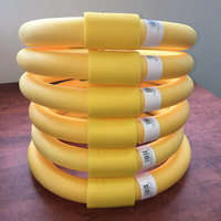 Pool Noodle Rings EYPNR